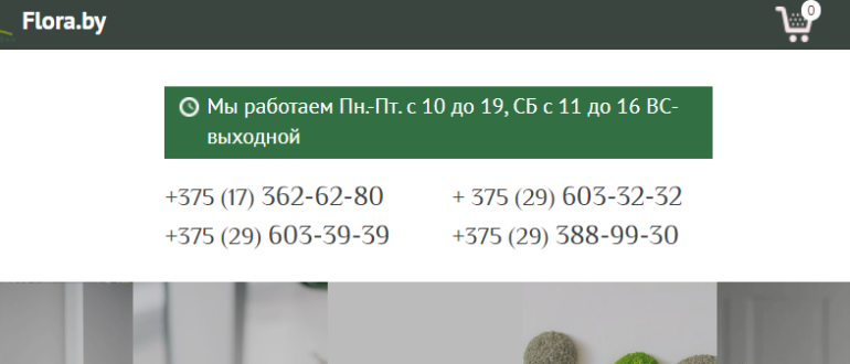 Сайт, Флора Бай, Личный кабинет, Каталог