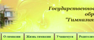 Сайт, Гимназия 4 Могилев, Дневник