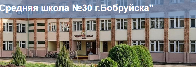 Сайт, 30 школа Бобруйск, Электронный дневник