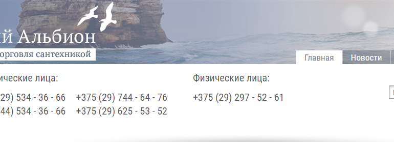 Сайт, "Новый Альбион" магазин, Личный кабинет