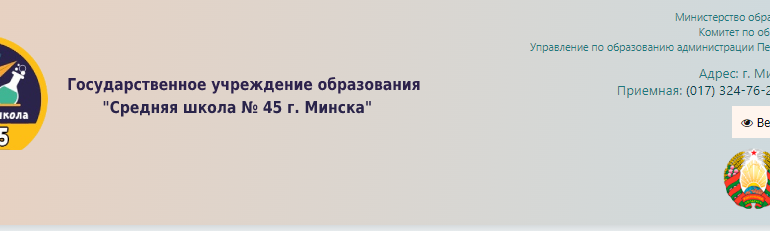 Сайт, 45 школа Минск, Электронный дневник