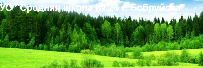 24 школа Бобруйск, Сайт, Электронный журнал