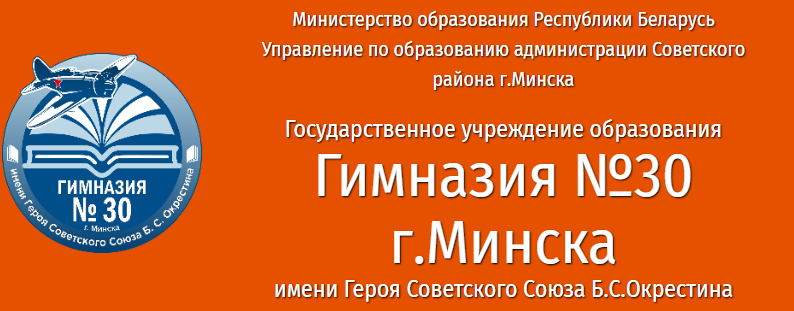Гимназия 30 Минск: Электронный дневник, Сайт