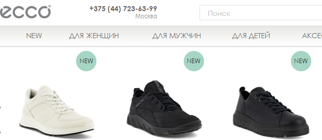 Ecco-shoes.by, Каталог, Личный кабинет, Сайт